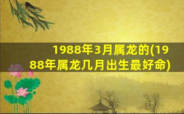 1988年3月属龙的(1988年属龙