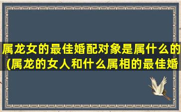 <strong>属龙女的最佳婚配对象是</strong>