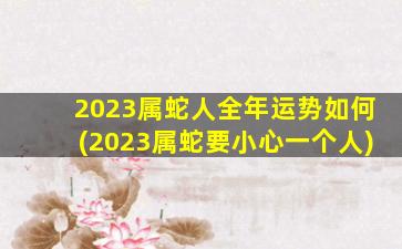 2023属蛇人全年运势如何