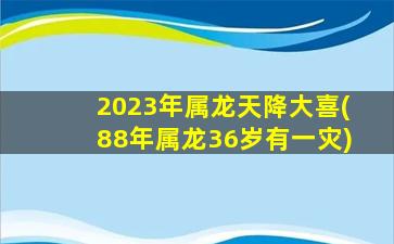 2023年属龙天降大喜(88年