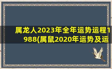 属龙人2023年全年运势运程