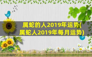 属蛇的人2019年运势(属蛇人2019年每月运势)