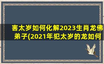 害太岁如何化解2023生肖龙