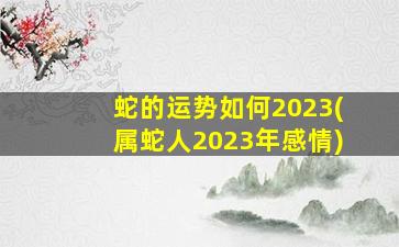 蛇的运势如何2023(属蛇人