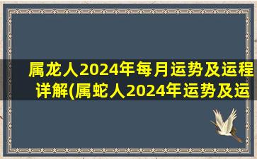 <strong>属龙人2024年每月运势及</strong>