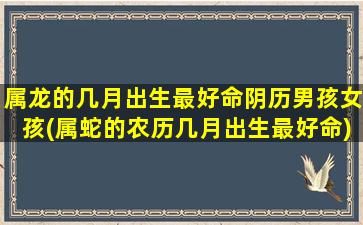 属龙的几月出生最好命阴