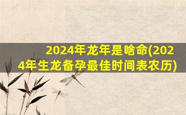 2024年龙年是啥命(2024年生