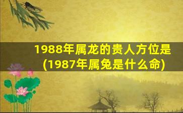 1988年属龙的贵人方位是(1987年属兔是什么命)