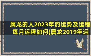 属龙的人2023年的运势及