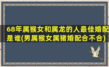 68年属猴女和属龙的人最佳婚配是谁(男属猴女属猪婚配合不合)