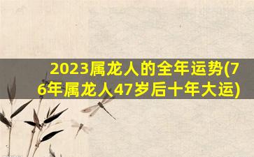 2023属龙人的全年运势(