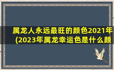 属龙人永远最旺的颜色