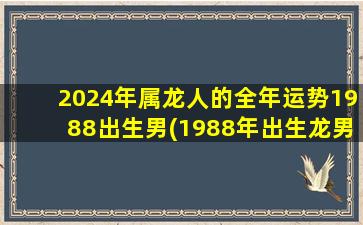 <strong>2024年属龙人的全年运势</strong>