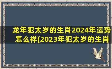 龙年犯太岁的生肖2024年运势怎么样(2023年犯太岁的生肖犯什么太岁)