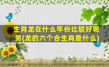 生肖龙在什么年份比较好