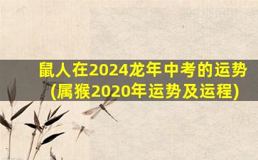 鼠人在2024龙年中考的运势