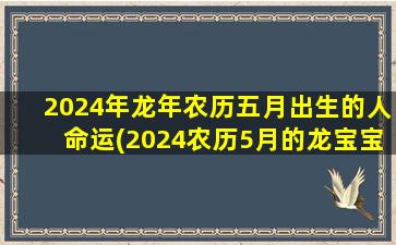 2024年龙年农历五月出生