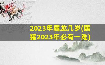 <strong>2023年属龙几岁(属猪2023年</strong>