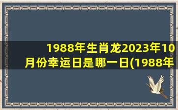 <strong>1988年生肖龙2023年10月份幸</strong>