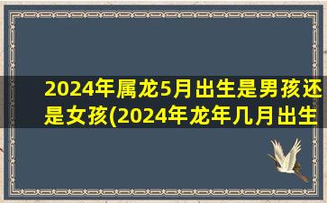 2024年属龙5月出生是男孩