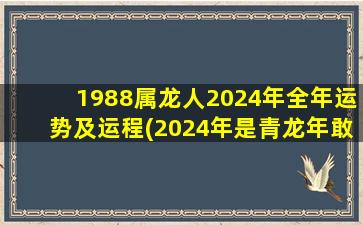 1988属龙人2024年全年运势