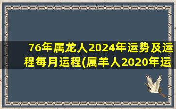 76年属龙人2024年运势及运