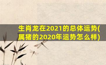 生肖龙在2021的总体运势(属猪的2020年运势怎么样)