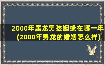 2000年属龙男孩姻缘在哪