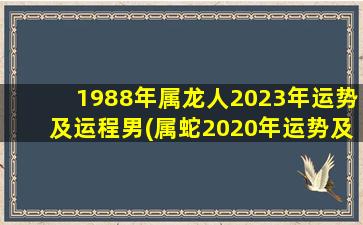 1988年属龙人2023年运势及运