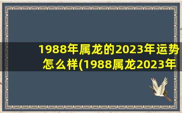 1988年属龙的2023年运势怎