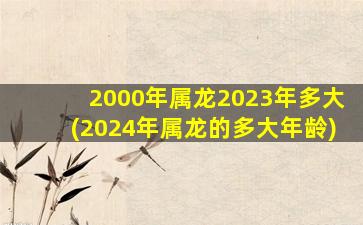 2000年属龙2023年多大(2024年属龙的多大年龄)