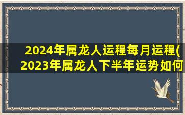 2024年属龙人运程每月运