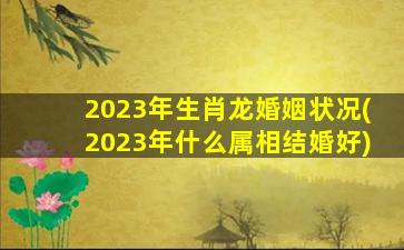 2023年生肖龙婚姻状况(20