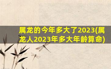 <strong>属龙的今年多大了2023(属龙</strong>