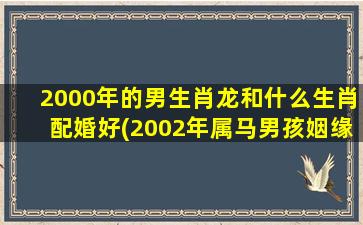 2000年的男生肖龙和什么生