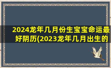 2024龙年几月份生宝宝命运