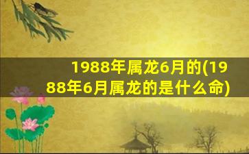 1988年属龙6月的(1988年6月属龙的是什么命)