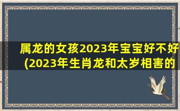 属龙的女孩2023年宝宝好不好(2023年生肖龙和太岁相害的情况)