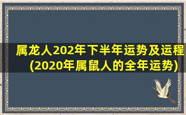 属龙人202年下半年运势及