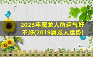 2023年属龙人的运气好不好(2019属龙人运势)