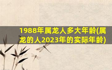 1988年属龙人多大年龄(属