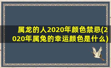 属龙的人2020年颜色禁忌