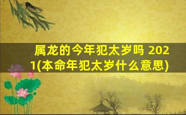 属龙的今年犯太岁吗 2021(本命年犯太岁什么意思)