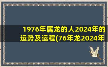 1976年属龙的人2024年的运势