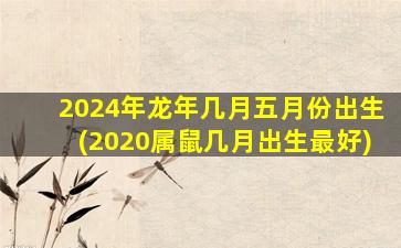 <strong>2024年龙年几月五月份出生</strong>