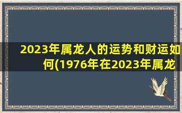 2023年属龙人的运势和财