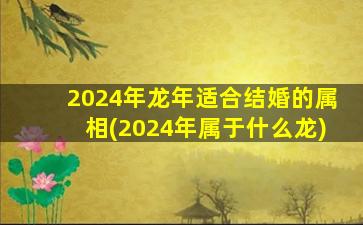 2024年龙年适合结婚的属相