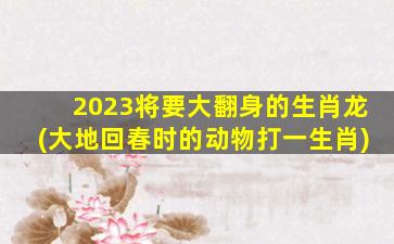 2023将要大翻身的生肖龙