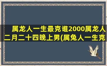 属龙人一生最克谁2000属龙