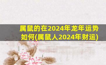 属鼠的在2024年龙年运势如何(属鼠人2024年财运)